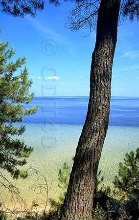 landes