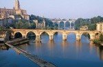albi albi