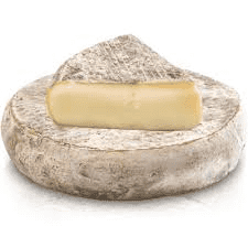 Saint Nectaire Cheese