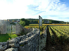 chassagne montrachet scene