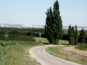 Nimes from Chateau de la Tuilerie