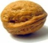 walnut