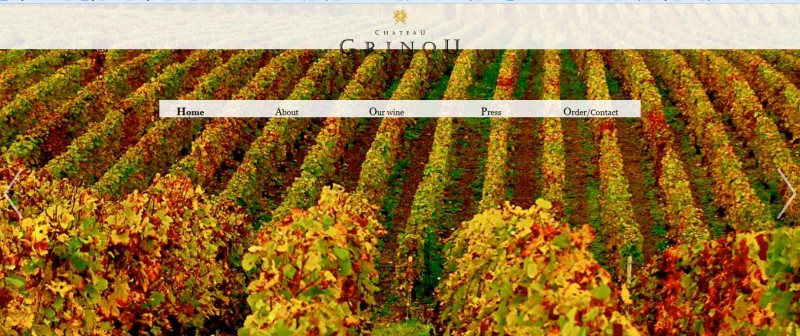 Website image for Chateau Grinou