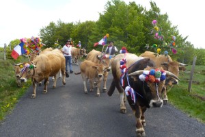 transhumance festival