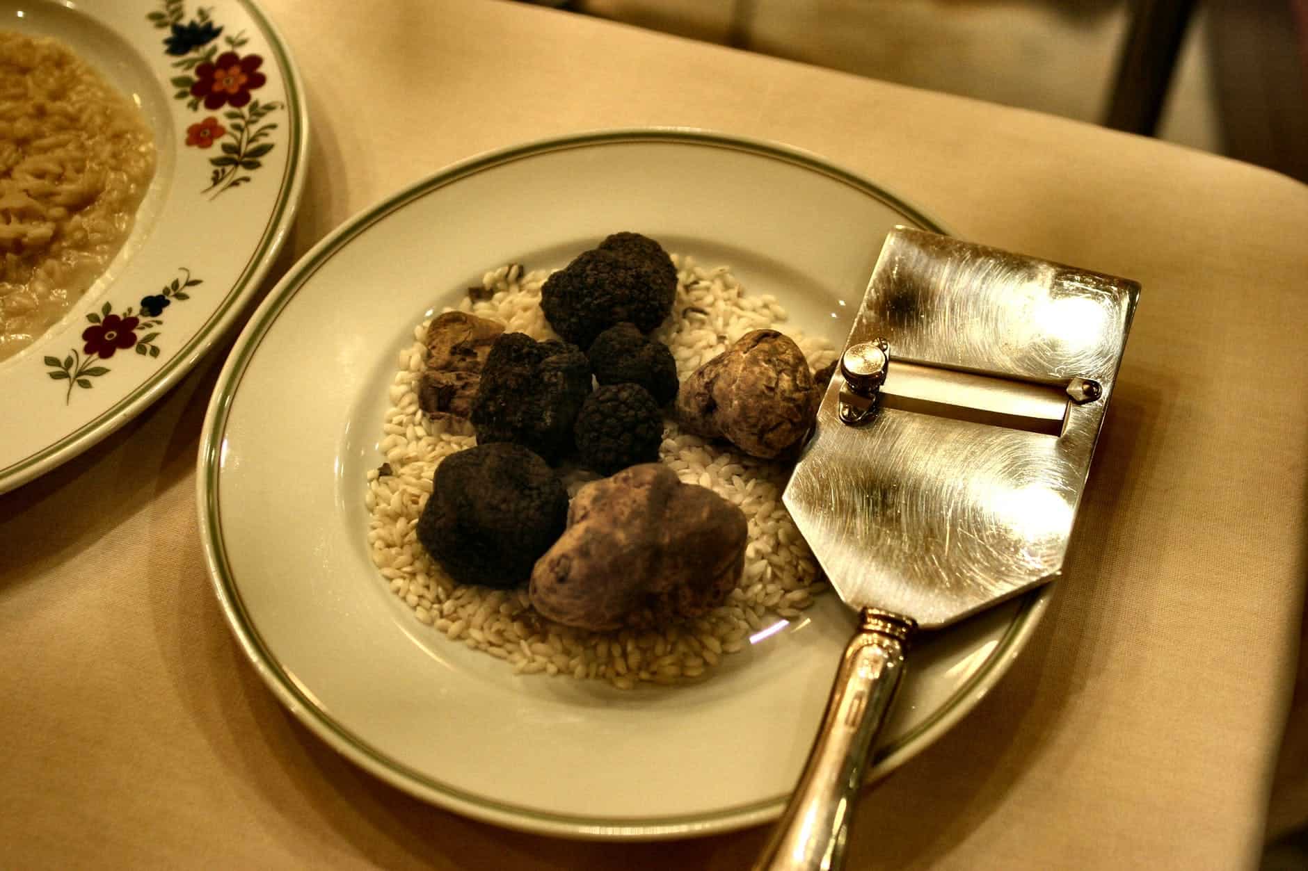 photo of truffles on the plate