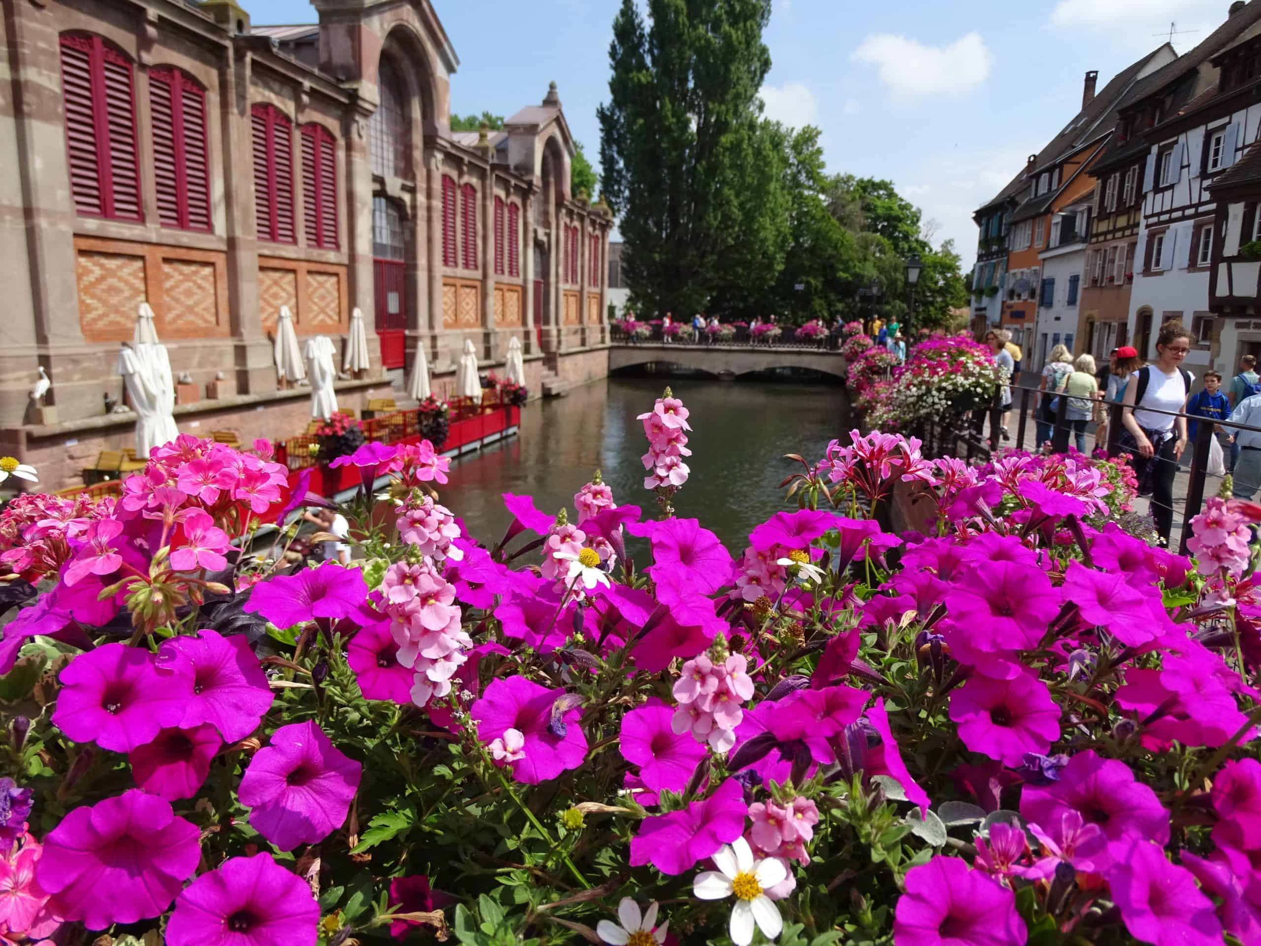 Colmar, Alsace (Grand Est)