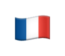 french tricolor flag