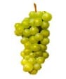 Sauvingon Blanc grapes