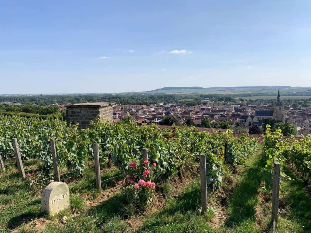 Champagne vineyards at AY